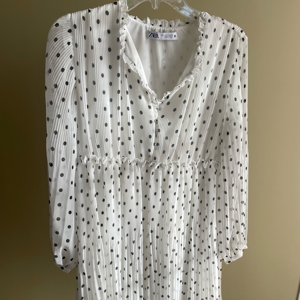 Zara Polka Dot Dress